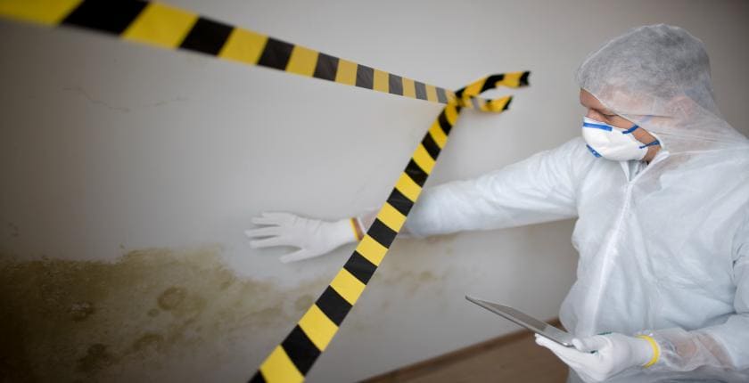 asbestos clearance